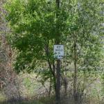 OTRA2013_1978 (July 21, 2013)